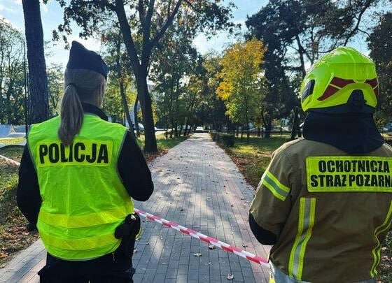 Poland sees series of school attacks: one dead, 76 detained after checks of 50,000 facilities