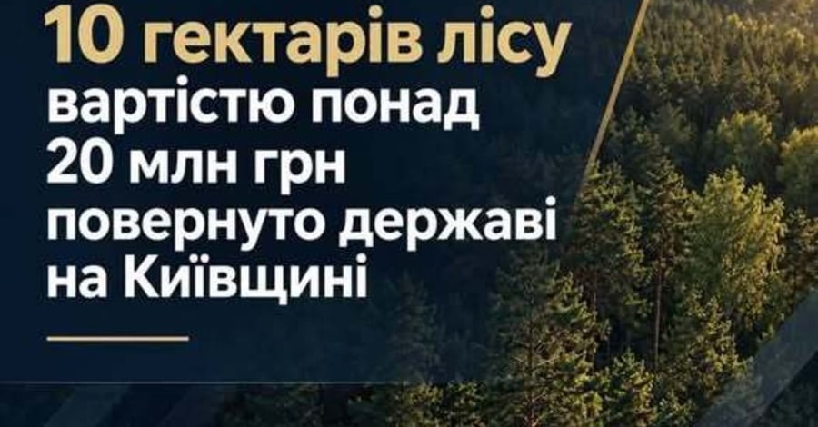 Суд повернув державі 10 га лісу в Фастівському районі через несплату за користування