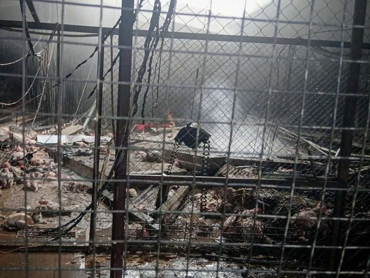 У Бориспільському районі Київщини зафіксували влучання по птахофабриці